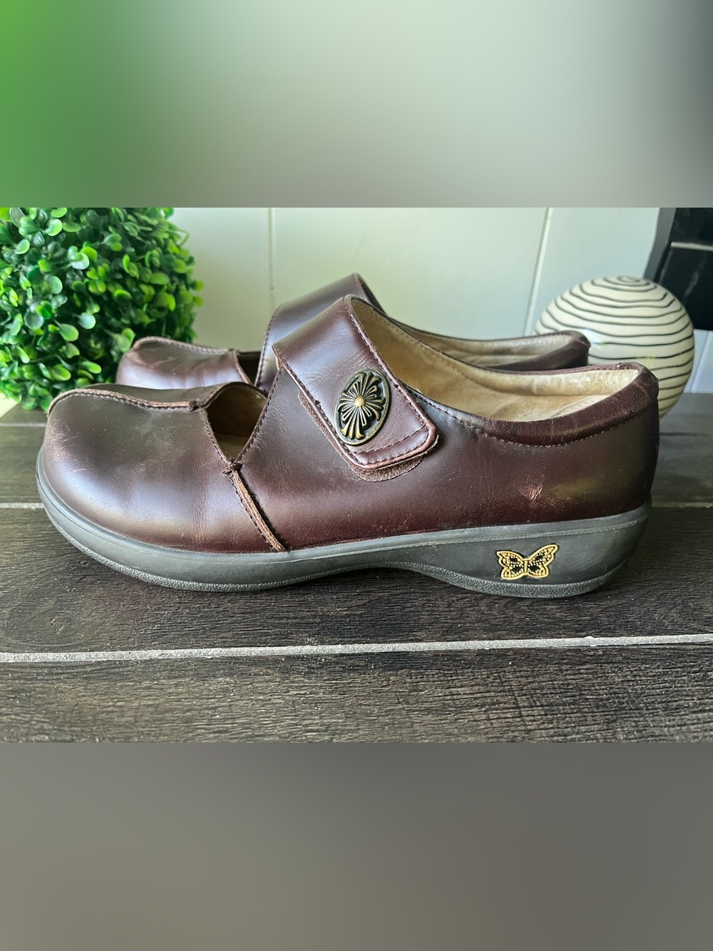 Alegria Women's Kaitlyn Brown Gravy Pull Up Professional Shoe Clog 38 (US 8/8.5)